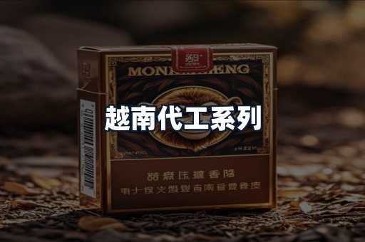 越南代工系列